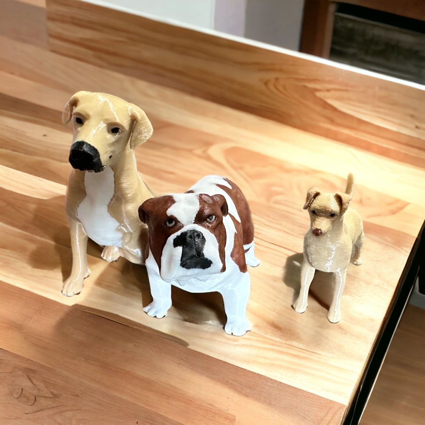 Dog - Parker