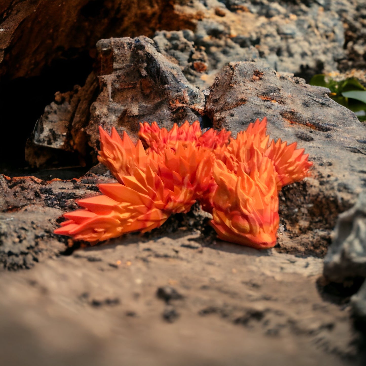 Fire Dragon