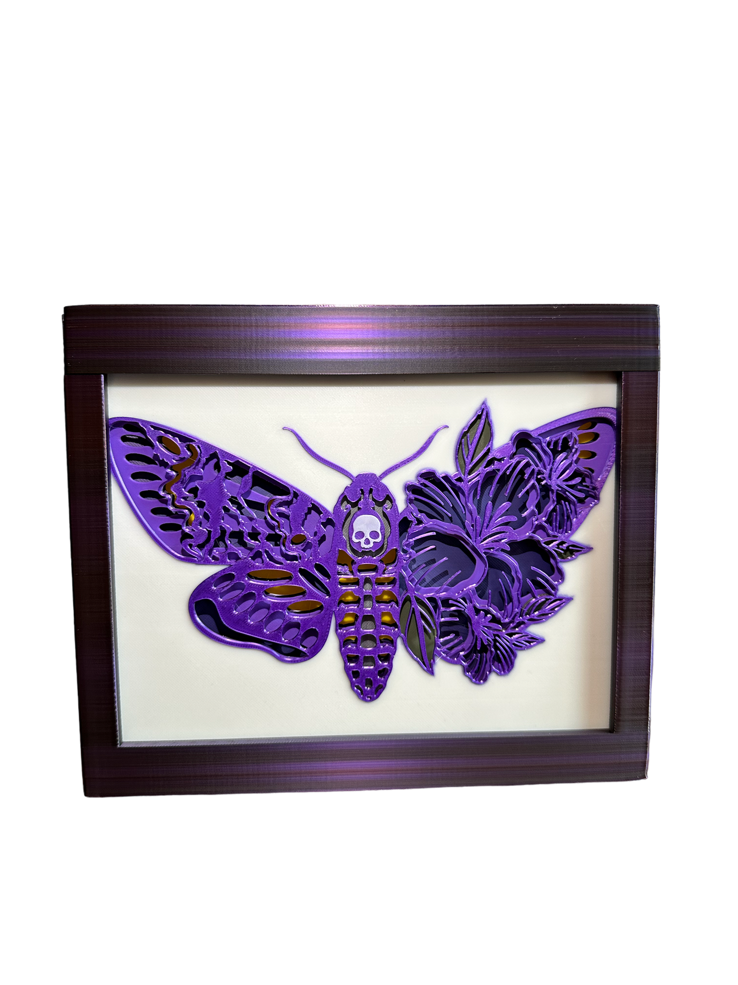 Death Moth Shadow Box