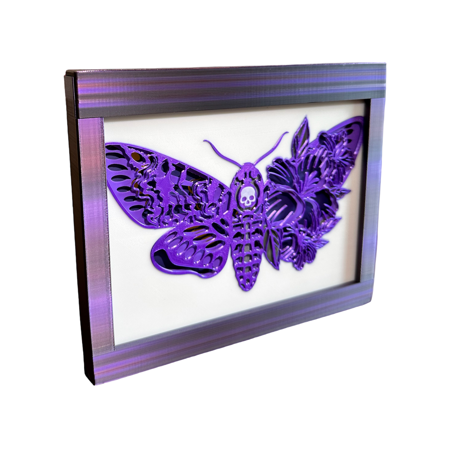 Death Moth Shadow Box