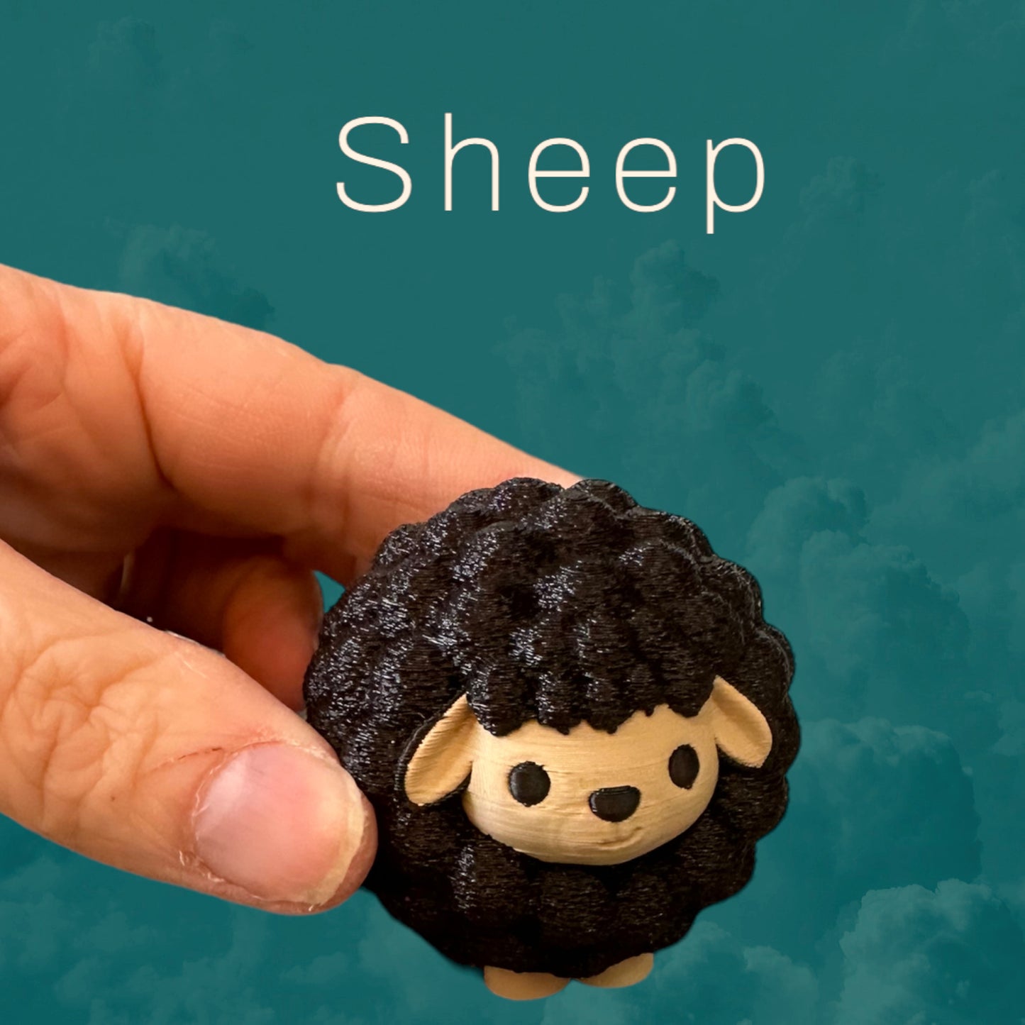 Sheep