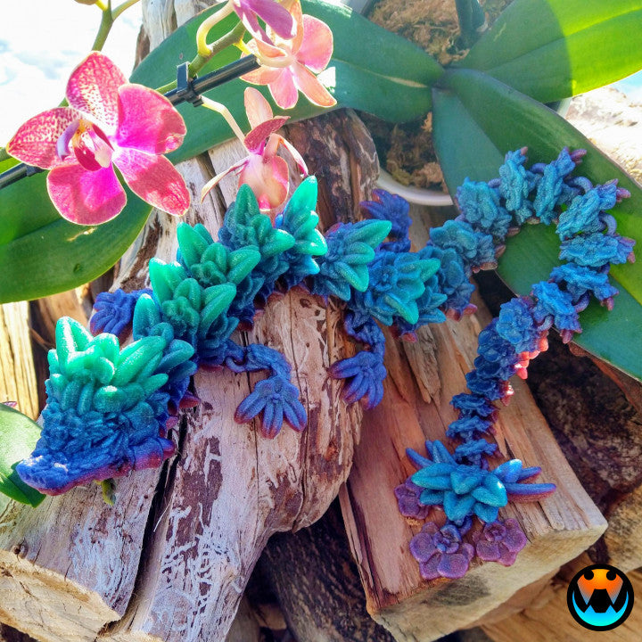 Orchid Dragon
