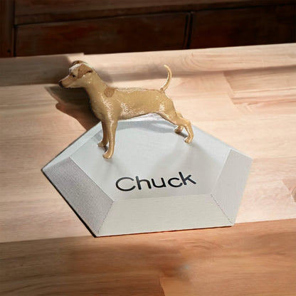 Dog - Chuck