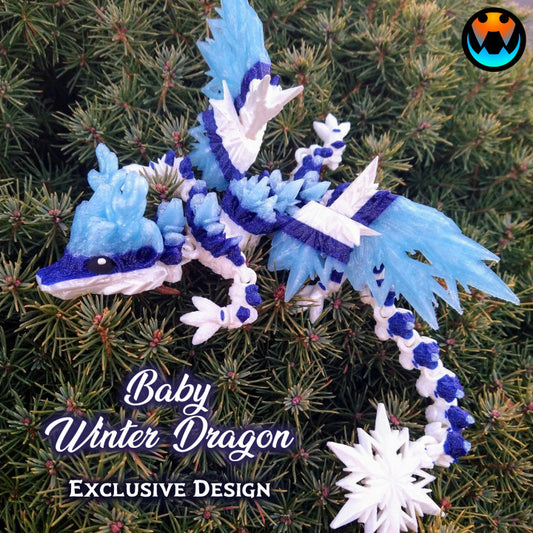 Winter Dragon Baby